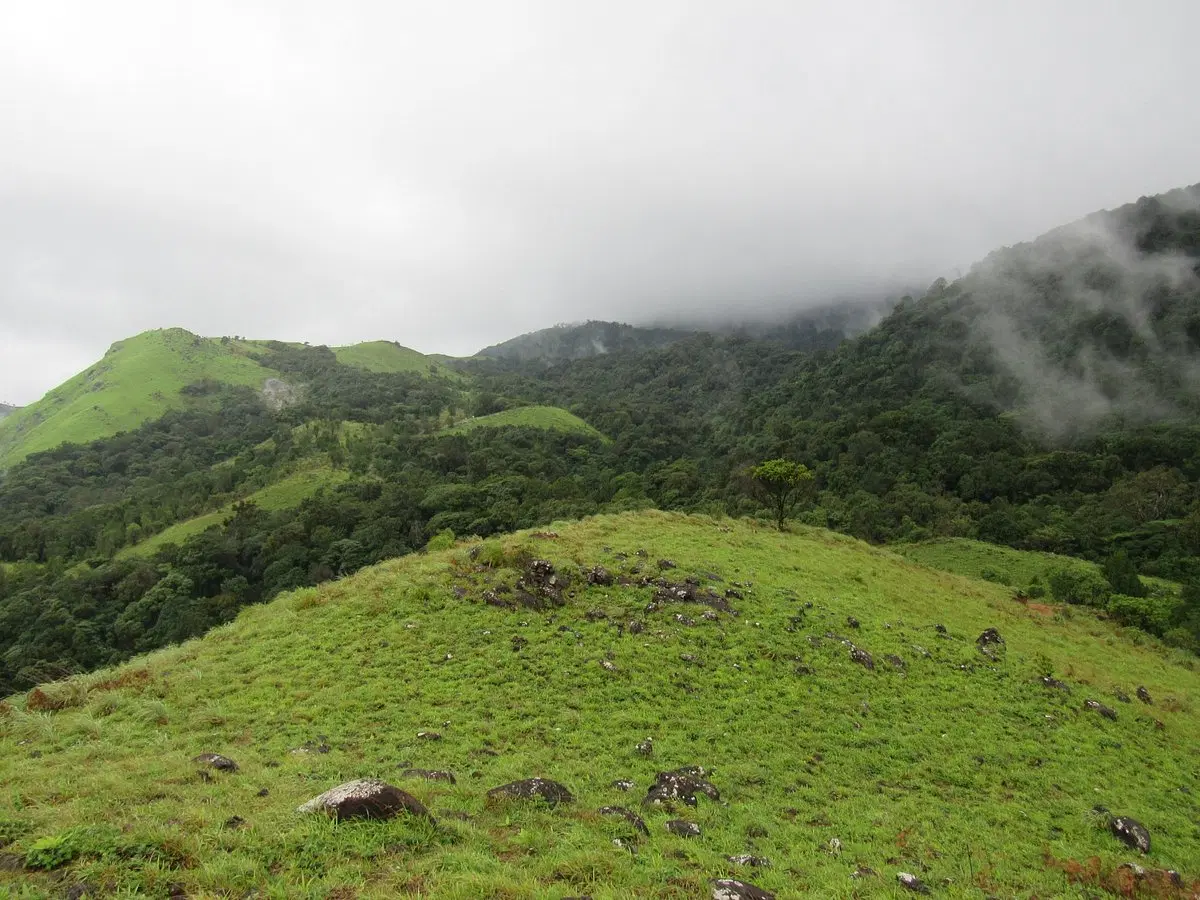 Pushpagiri Trek
